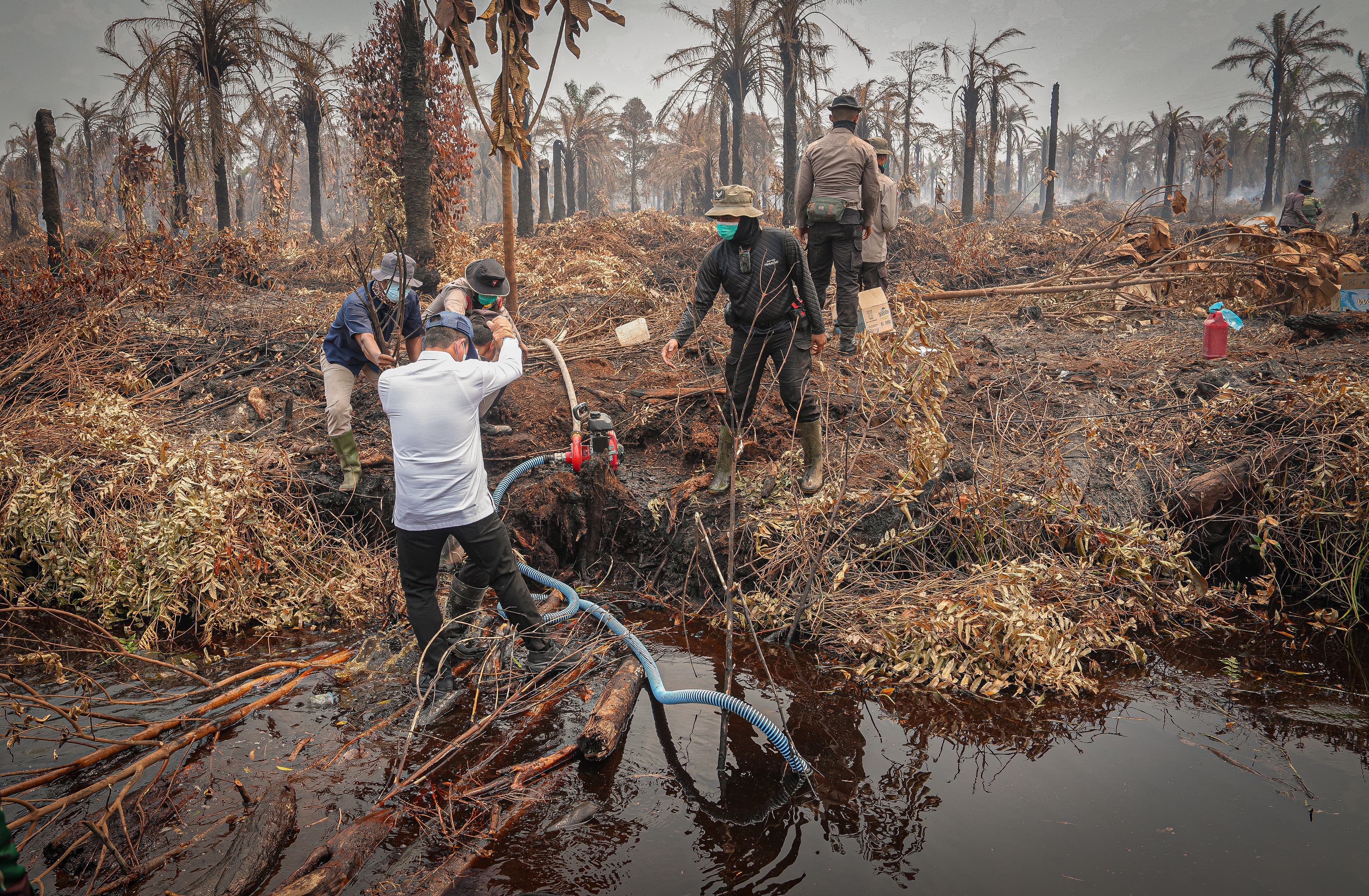 KLH/BPLH Pastikan Pendinginan Total Kebakaran Hutan di Rokan Hilir untuk Cegah Api Kembali