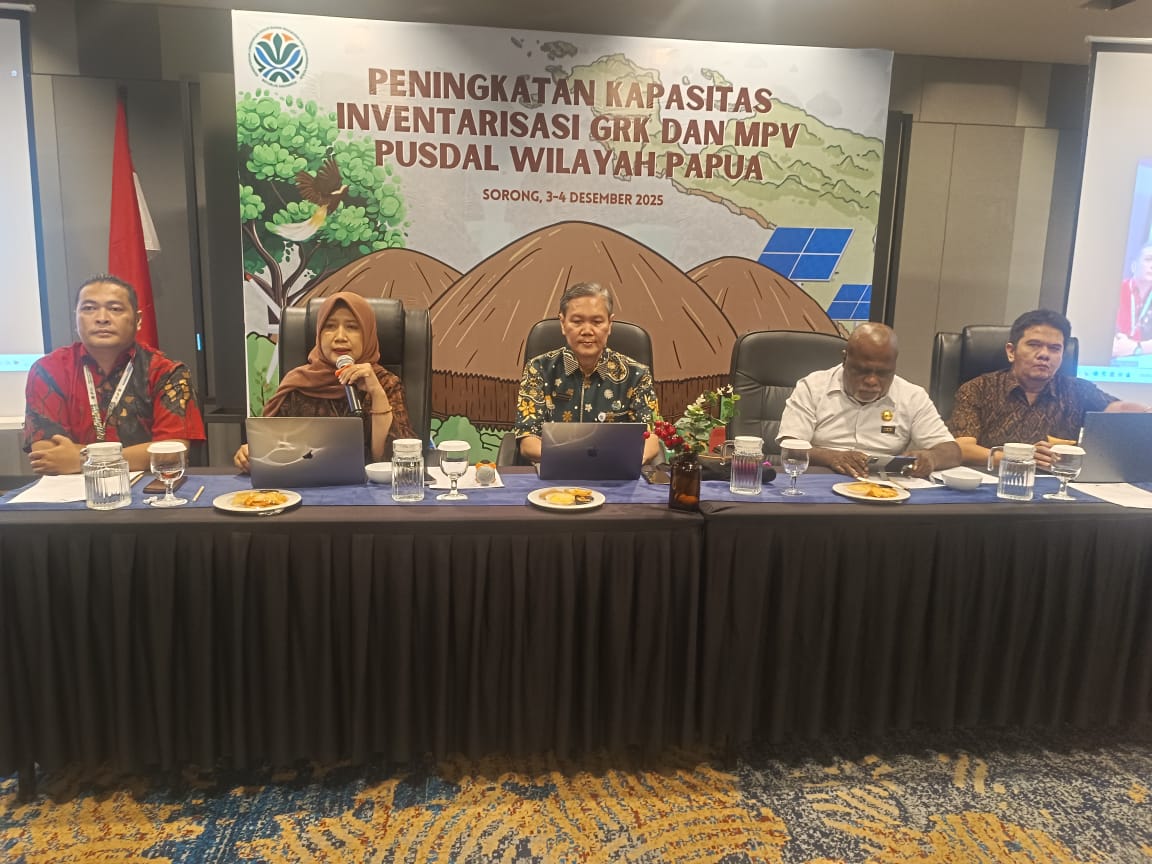 KLH/BPLH Perkuat Kapasitas Hitung Emisi di Papua: Dari Hutan ke Data yang Bisa Diandalkan