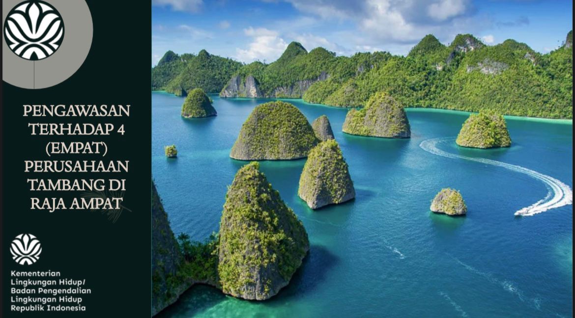 Aktivitas Tambang Ancam Ekosistem Raja Ampat, KLH/BPLH Turun Tangan