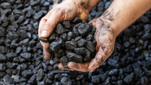 Biochar dan AWD: Inovasi Ramah Lingkungan untuk Sawah Indonesia yang Lebih Hijau